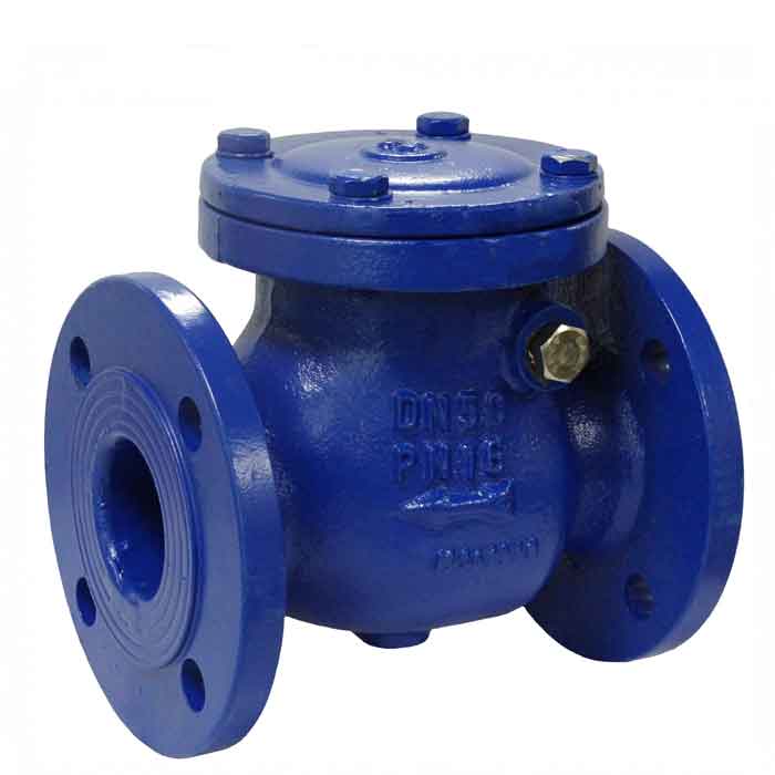 Steam non return valve