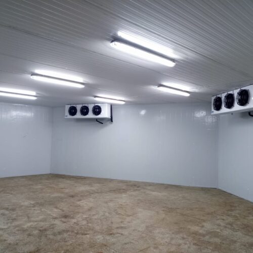 Protein-Market Cold Room Construction