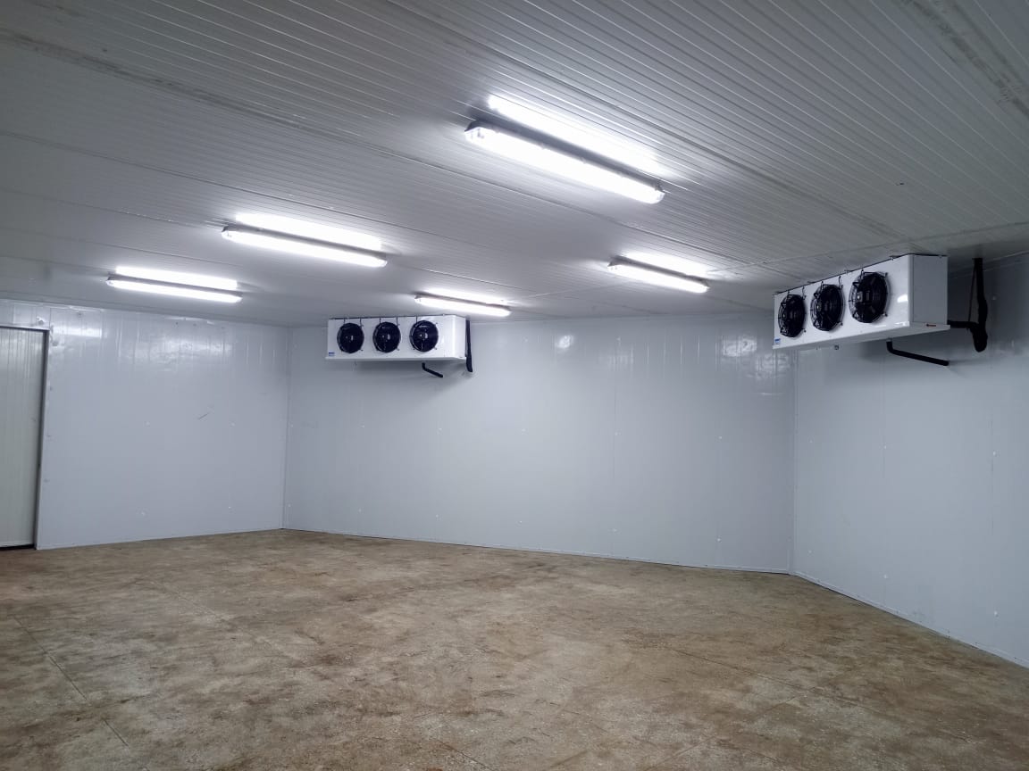Protein-Market Cold Room Construction